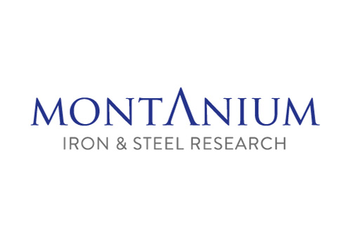 Logo/Wortmarke Montanium